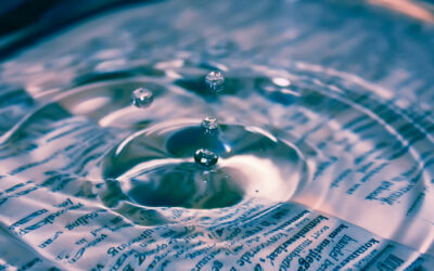 De bullshit van transparantie