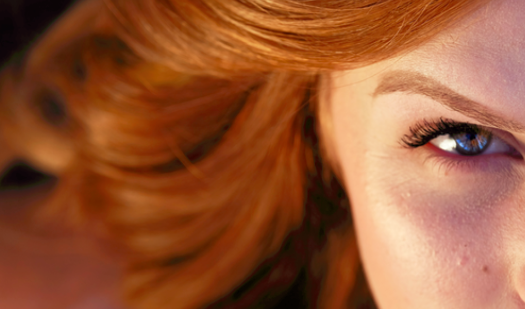 Waarom de horzel de beste vriend is van de toezichthouder