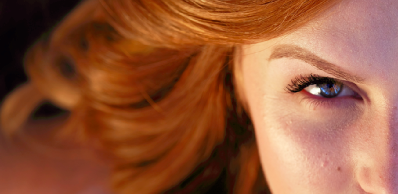 de horzel is de beste vriend van de toezichtshouder de horzel is de beste vriend van de toezichtshouder