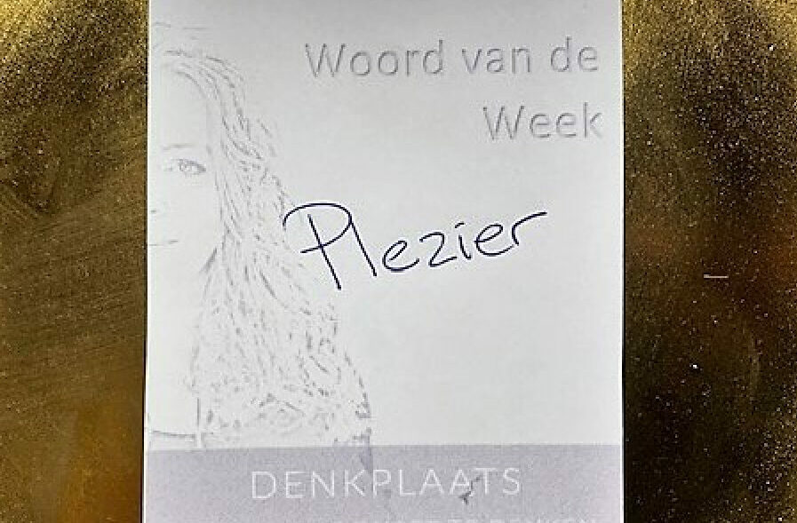 woord-van-de-week_Plezier-2x Plezier